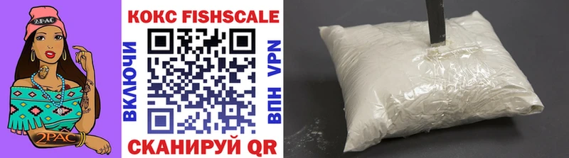 где купить наркотик  MEGA рабочий сайт  Cocaine Fish Scale  Фатеж 
