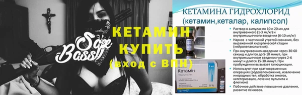 шишки Лабытнанги