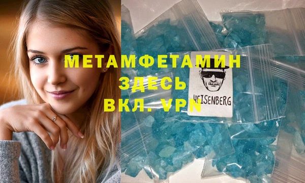 шишки Лабытнанги