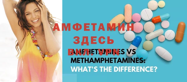шишки Лабытнанги