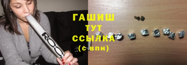 шишки Лабытнанги