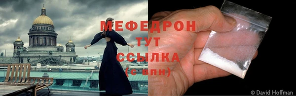 шишки Лабытнанги
