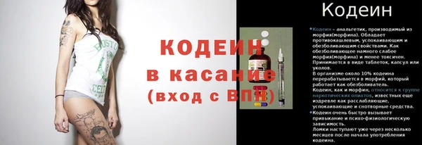 шишки Лабытнанги