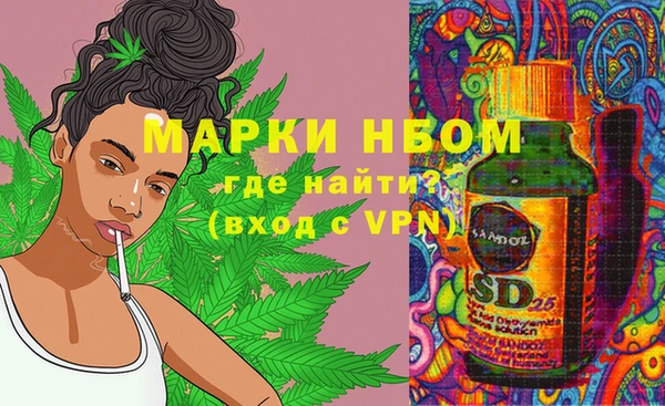 шишки Лабытнанги