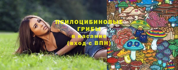 скорость Лагань