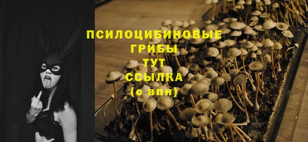 СК Ладушкин