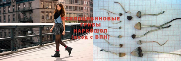 скорость Лагань
