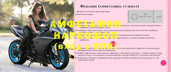 шишки Лабытнанги