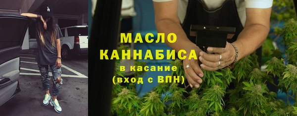 шишки Лабытнанги