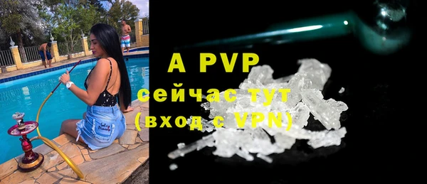 шишки Лабытнанги